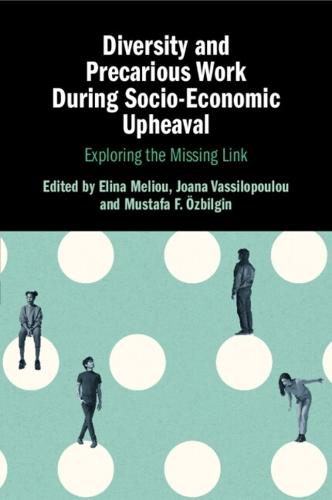 Diversity and Precarious Work During Socio-Economic Upheaval: Exploring the Missing Link