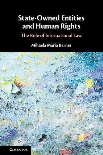 State-Owned Entities and Human Rights: The Role of International Law