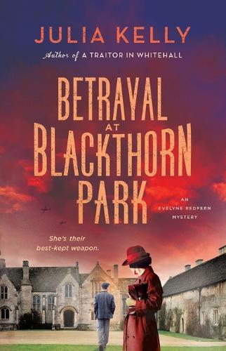 Betrayal at Blackthorn Park: A Mystery
