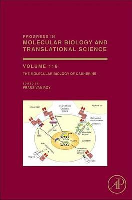 Molecular Biology of Cadherins