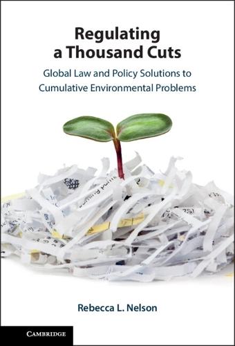 Regulating a Thousand Cuts: Global Law and Policy Solutions to Cumulative Environmental Problems