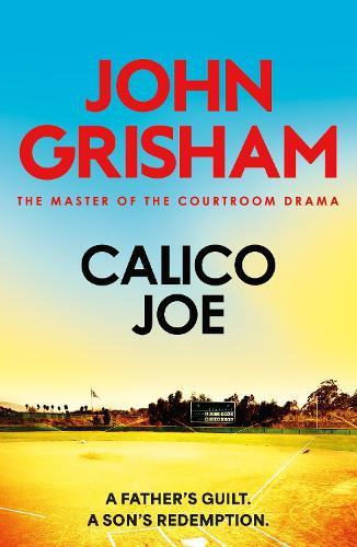 Calico Joe: The unforgettable family drama from the number 1 Sunday Times bestselling author