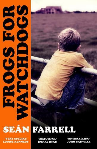 Frogs for Watchdogs: 'A stunning novel that will live long in my imagination’ DONAL RYAN