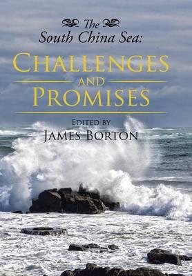 The South China Sea: Challenges and Promises