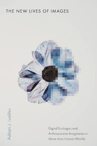 The New Lives of Images: Digital Ecologies and Anthropocene Imaginaries in More-than-Human Worlds