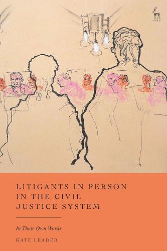 Litigants in Person in the Civil Justice System: In Their Own Words