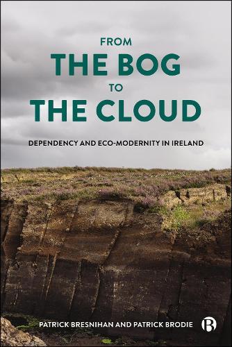 From the Bog to the Cloud: Dependency and Eco-Modernity in Ireland