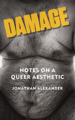 Damage: Notes on a Queer Aesthetic