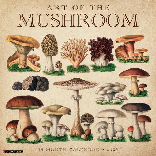 Art of the Mushroom 2026 12 X 12 Wall Calendar