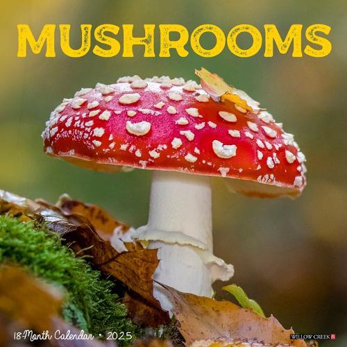 Mushrooms 2026 12 X 12 Wall Calendar