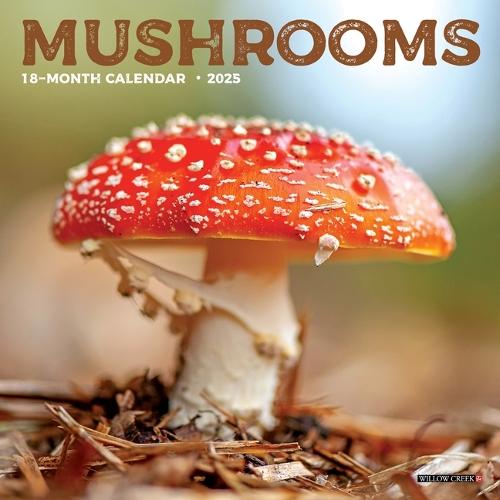 Mushrooms 2026 7 X 7 Mini Wall Calendar