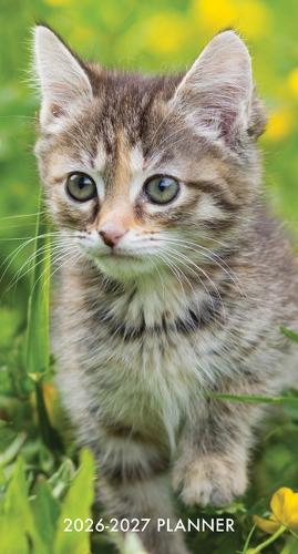 Cute as a Kitten 2-Year 2026-27 3.5 X 6.5 Monthly Pocket Planner