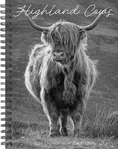 Highland Cows 2026 6.5 X 8.5 Engagement Calendar