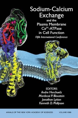 Sodium-Calcium Exchange and the Plasma Membrane Ca2+-ATPase in Cell Function: Fifth International Conference, Volume 1099