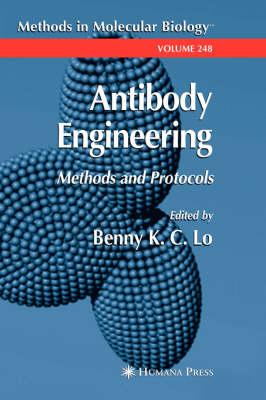 Antibody Engineering: Methods and Protocols