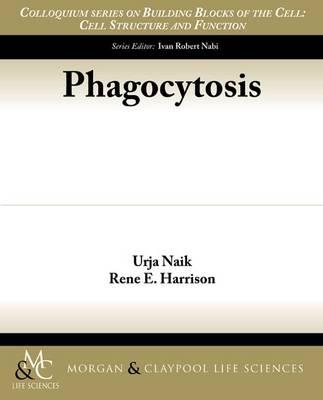 Phagocytosis