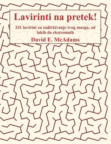 Lavirinti na pretek!: 241 lavirint za zadirkivanje tvog mozga, od lakih do ekstremnih