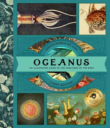 Oceanus: An Illustrated Guide to Creatures of the Deep