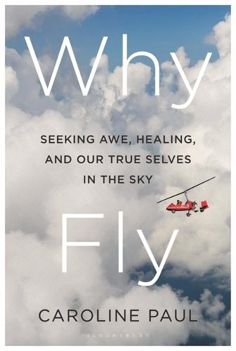 Why Fly: Seeking Awe, Healing, and Our True Selves in the Sky