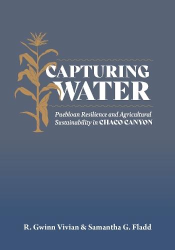 Capturing Water: Puebloan Resilience and Agricultural Sustainability in Chaco Canyon