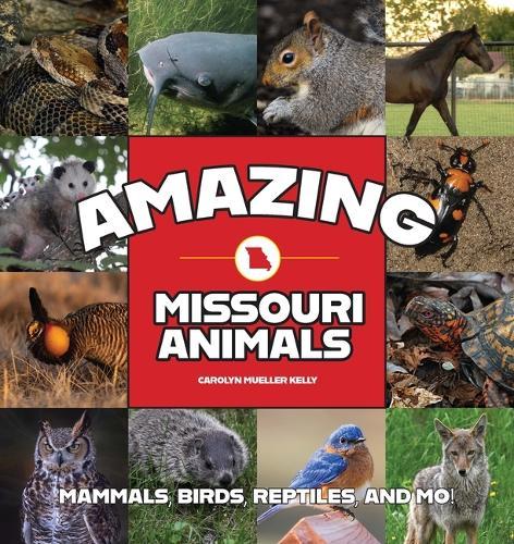 Amazing Missouri Animals