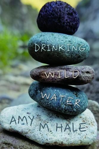 Drinking Wild Water: Essays