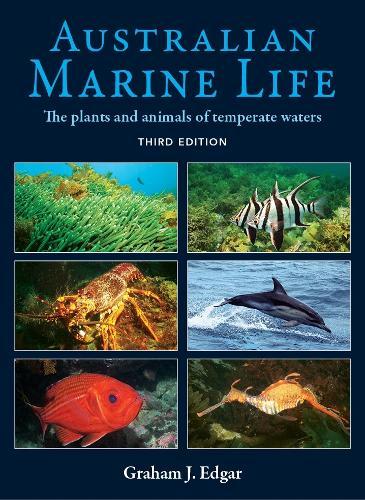 Australian Marine Life: The Plants and Animals of Temperate Waters - Third Edition