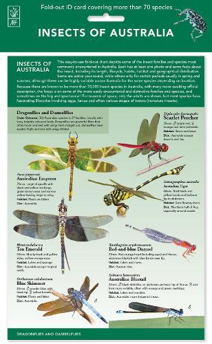 Insects of Australia ID Chart: Fold-out ID card cvering more than 70 species