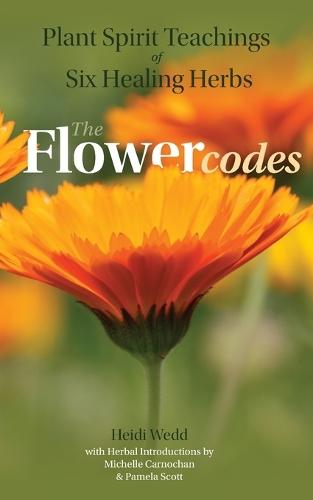 Plant Spirit Teachings of Six Healing Herbs