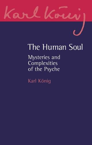 The Human Soul: Mysteries and Complexities of the Psyche