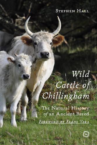Wild Cattle of Chillingham: The Natural History of an Ancient Breed