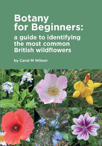 Botany for Beginners: a guide to identifying the most common British wildflowers