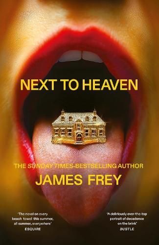Next to Heaven: The PROVOCATIVE new novel from BESTSELLING author of A Million Little Pieces