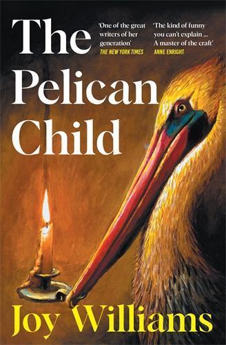 The Pelican Child: Longlisted for the 2025 National Book Award