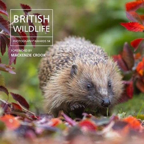 British Wildlife Photography Awards 14