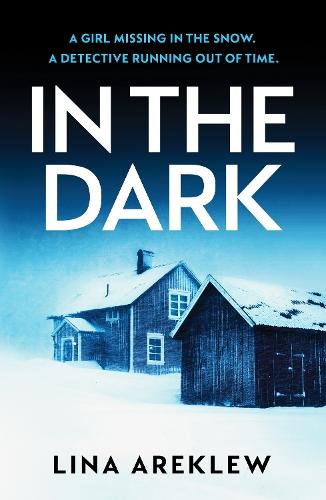 In the Dark: A gripping and atmospheric Scandi noir crime thriller for fans of Will Dean