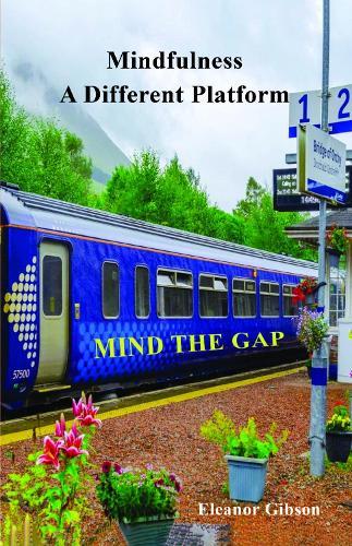 Mindfulness - A Different Platform: Mind the Gap