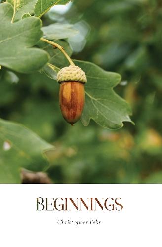 Beginnings