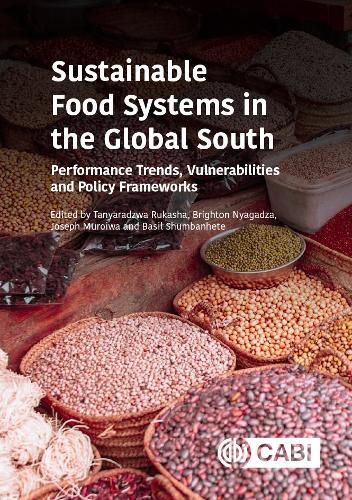 Sustainable Food Systems in the Global South: Performance Trends, Vulnerabilities and Policy Frameworks