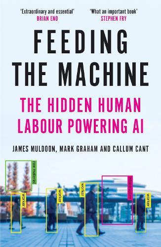 Feeding the Machine: The Hidden Human Labour Powering AI