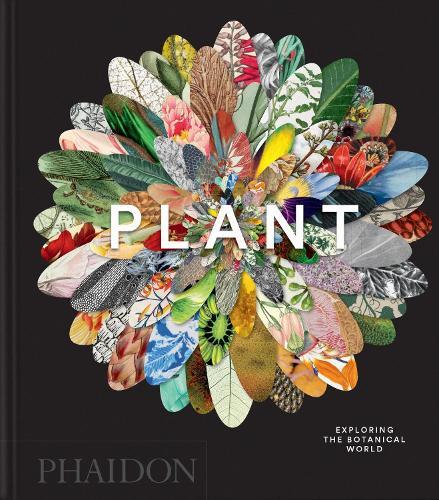 Plant: Exploring the Botanical World