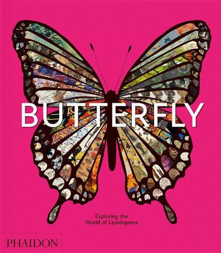 Butterfly: Exploring the World of Lepidoptera