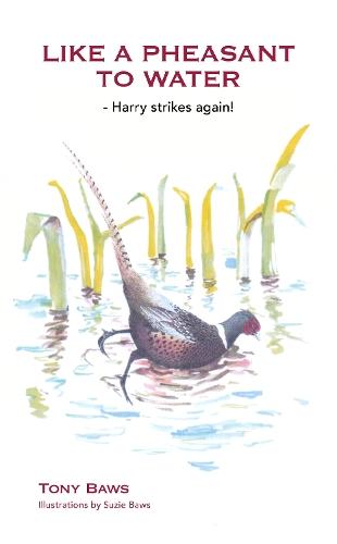 Like a Pheasant to Water: Harry strikes again