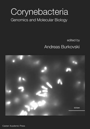 Corynebacteria: Genomics and Molecular Biology