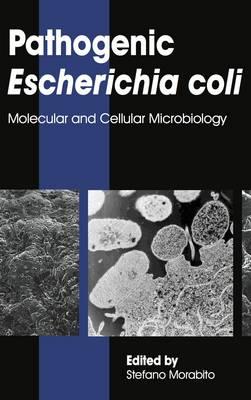 Pathogenic Escherichia Coli: Molecular and Cellular Microbiology