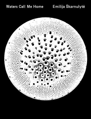 Emilija Škarnulyte: Waters Call Me Home