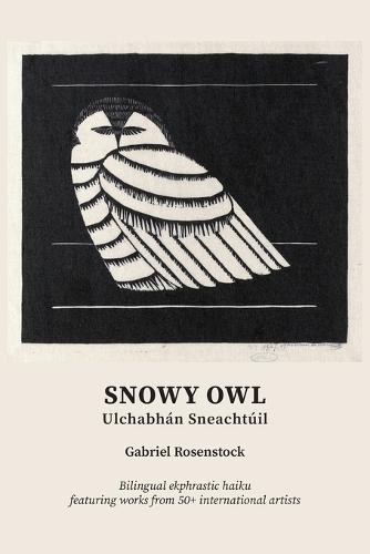 Snowy Owl: Ulchabhán Sneachtúil