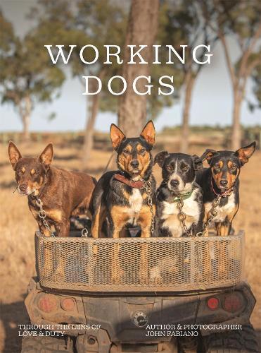 Working Dogs: Through the lens of love & duty