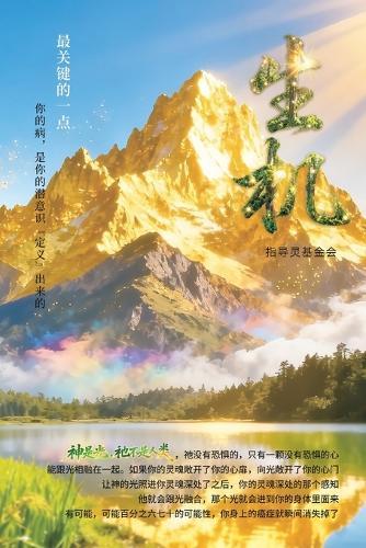 Vitality: Simplified Chinese Edition