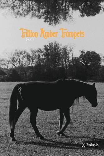 Trillion Amber Trumpets